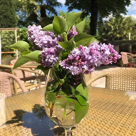 Bed & Breakfast Maison Du Midi
